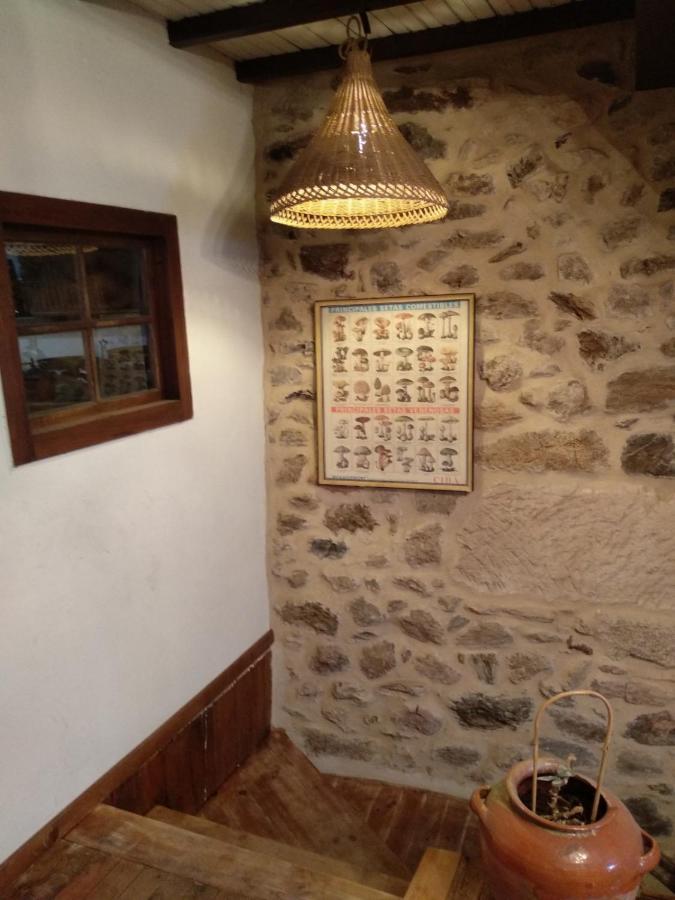 Casa Ribeira Sacra, Ourense, Ninodaguia, Galicia Holiday home Ourense